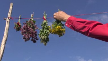 İpte asılı tıbbi bitki demet. Sağlıklı yaşam konsepti