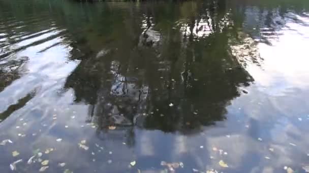 Rivière abstraite avec fond de réflexions d'arbres 