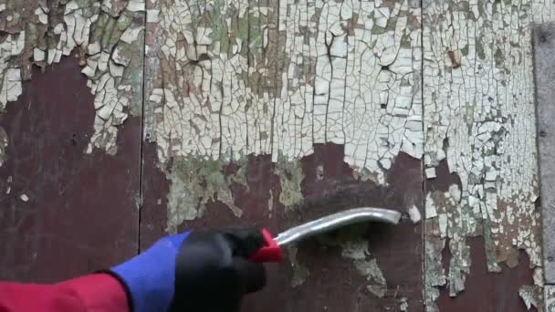 To scrape old paint from house wall plank with metal brush — Stock Video