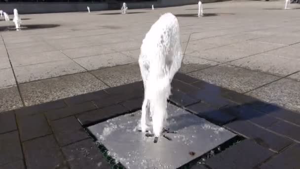 Groep van de fonteinen op het stadsplein — Stockvideo