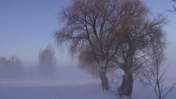 Sinais de estrada no parque de inverno e bela névoa matinal — Vídeo de Stock