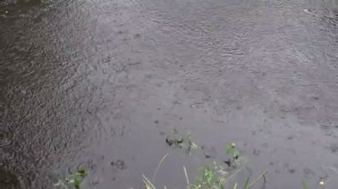 lluvia Resumen Antecedentes sobre el agua del lago