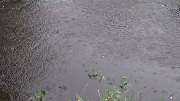 Fond de pluie abstrait sur l'eau du lac 