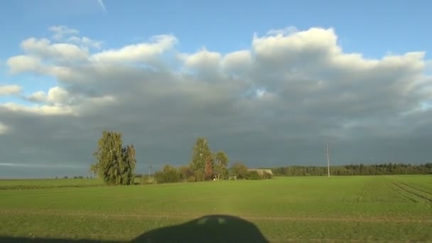 Тень автомобиля в движении на поле — стоковое видео