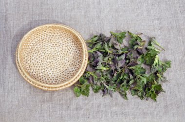 taze bahar tıp neetle ot salatası keten kumaş üzerine