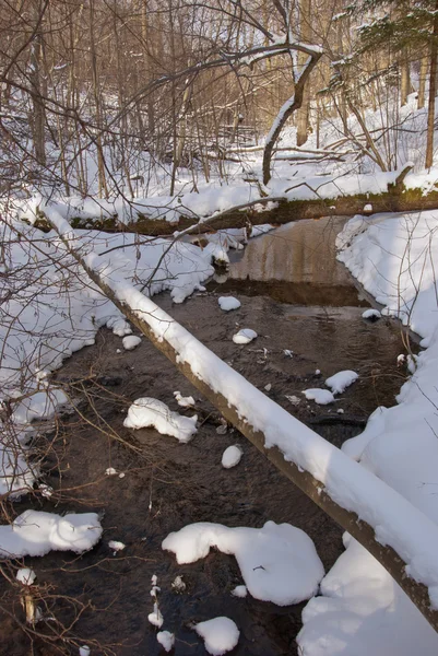 Mooie winter rivier in besneeuwde bos — Stockfoto