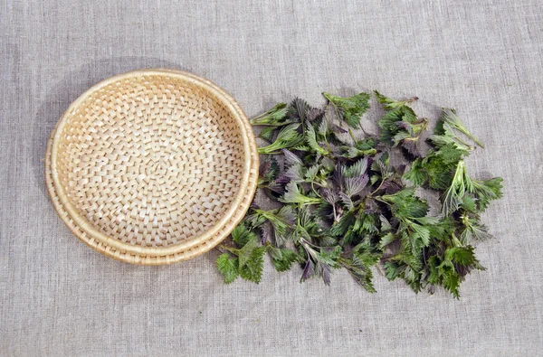 Świeże wiosenne zioło medyczny neetle sałatka na płótno — Zdjęcie stockowe