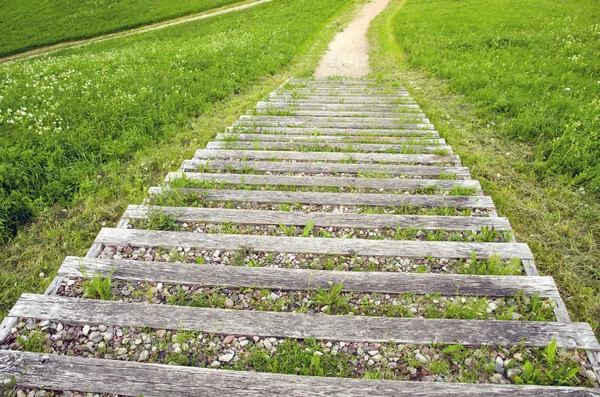 Stare drewniane schody odkryty z żwiru w parku narodowym — Zdjęcie stockowe