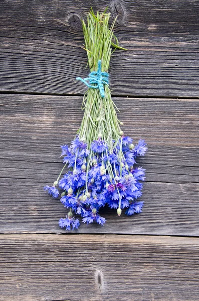 Beau bouquet de bleuet frais sur vieux mur de ferme en bois — Photo
