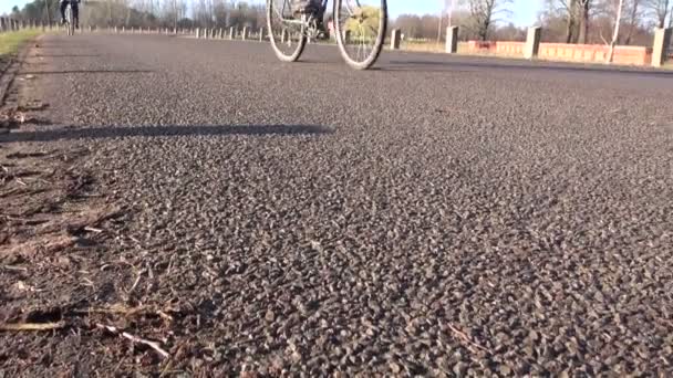 Bicycle wheels on asphalt road — Stock Video