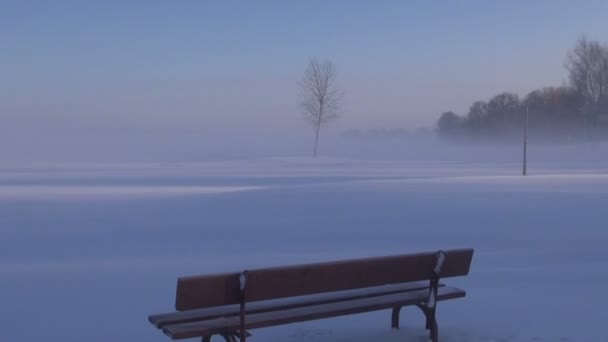 Nebbia nel parco invernale e albero solitario — Video Stock