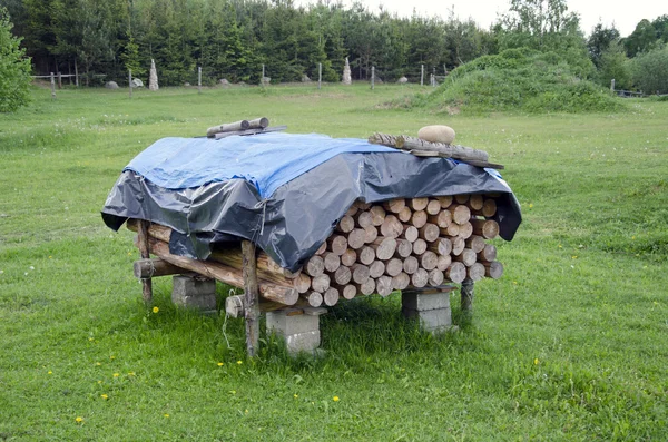 Snijden van boom logboeken stapel op weide — Stockfoto