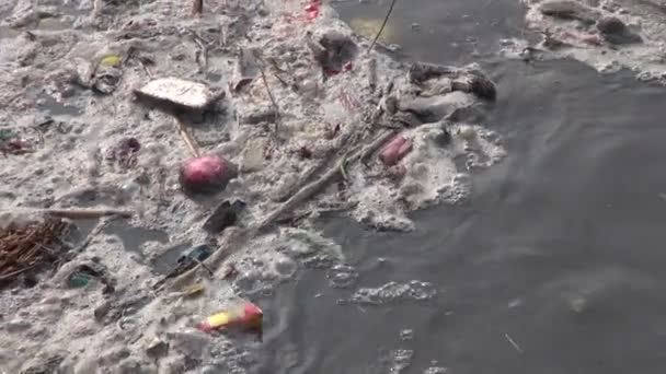 Poluição catastrófica da água no hinduísmo sagrado rio Bagmati, Nepal — Vídeo de Stock