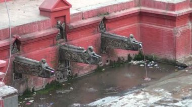 Süslü dragon formu su dokunun Katmandu, Nepal