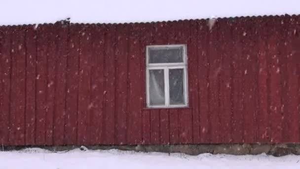 Зимовий сніг падає і стіна фермерського будинку — стокове відео