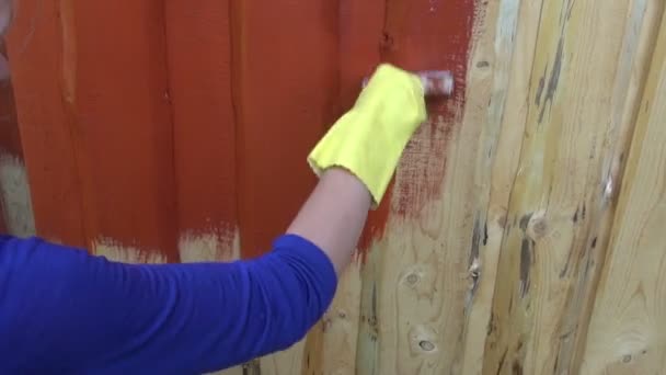 Verf houten plank boerderij huis muur met penseel penseel in het rood — Stockvideo