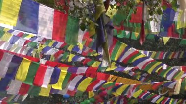 Budist dua Lord Buda'nın doğum yeri: Lumbini, Nepal Bayraklarda