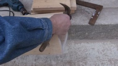 Baharda yeni kuş yuvası yapmak