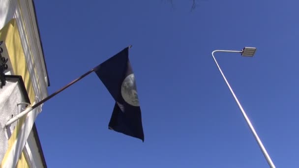 Planeet aarde vlag en op blauwe hemelachtergrond — Stockvideo