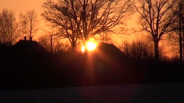 Beautiful winter sunrise in village — Stock Video