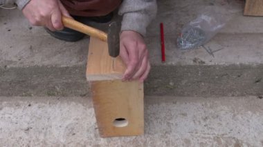 Yeni tahta kuş evi çivi çekiç