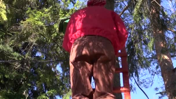 Bonden tar bort gammal fågel hus kapsling-box från träd — Stockvideo