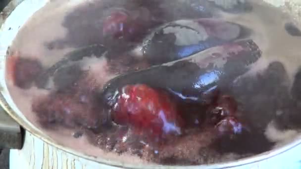 Boiling pot with beet vegetable on  furnace — Stock Video