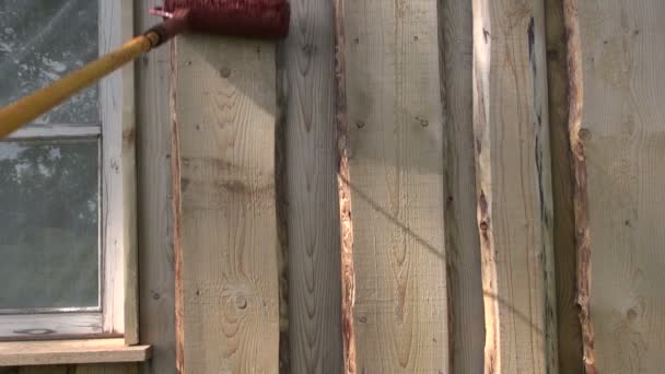 Pintura de pared de casa de madera con rodillo de pintura — Vídeo de stock