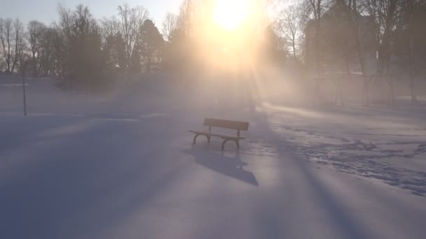 Bench in winter park and morning fog with sunlight — Stock Video