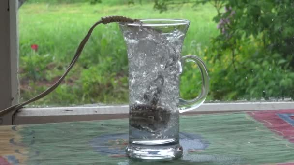 Tourist boiling tea water with vintage heating coil — Stock Video