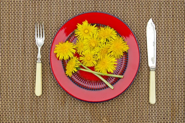 Flor de dente-de-leão amarelo fresco para comida em placa vermelha — Fotografia de Stock