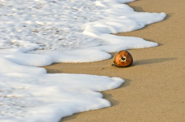 Coco na praia do mar areia e onda na Ásia — Fotografia de Stock