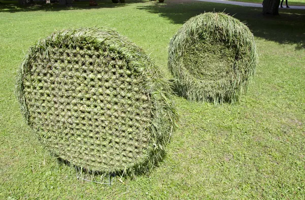 Roue d'objets floristiques en herbe dans le parc du manoir — Photo