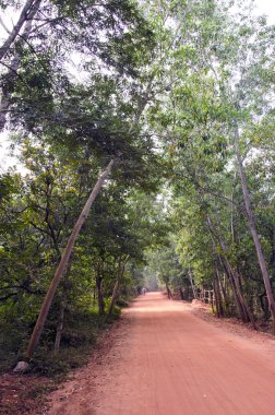 boş kırmızı çakıl yol içinde Auroville, Hindistan