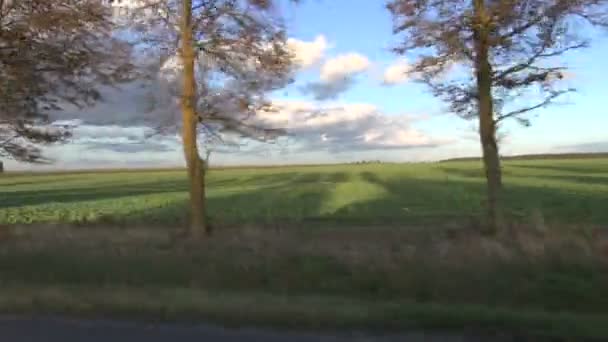 Landschap met avond zonlicht en auto schaduw — Stockvideo