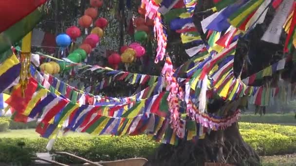 Arbre avec drapeaux bouddhistes à Lumbini, Népal — Video