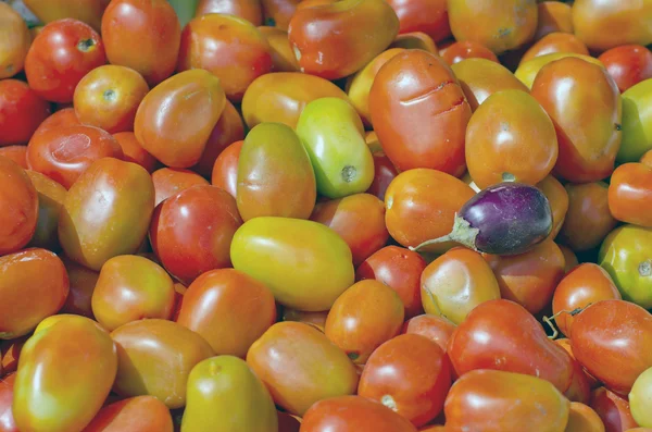 Tomate fundo vegetal — Fotografia de Stock