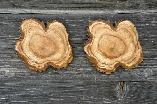 Querschnitte des Baumstammes auf Holzplanke Hintergrund — Stockfoto