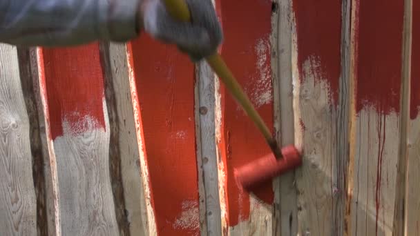 Pintura de pared de madera granja con rodillo de pintura — Vídeos de Stock