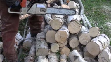 Huş odun çiftliğindeki elektrikli testere ile kesme