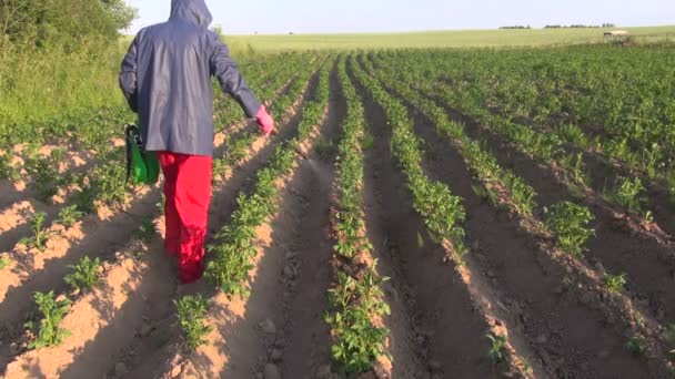Фермер з захисним обладнанням для обприскування картопляного поля — стокове відео