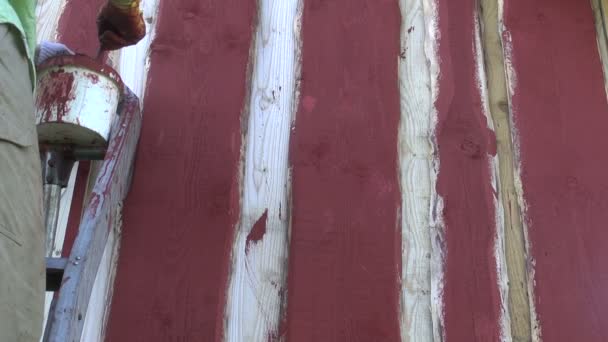Peindre nouveau mur en bois de grange de ferme avec pinceau — Video