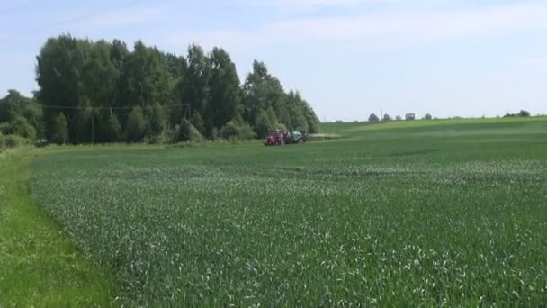 Tractor rociando campo de trigo con rociador — Vídeos de Stock