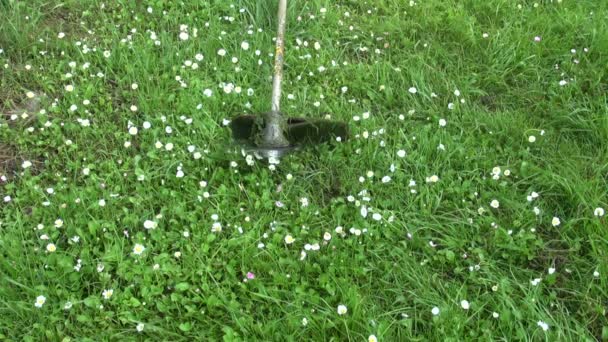 Кошение травы в летнем саду с газонокосилкой — стоковое видео
