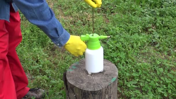 Chemistry pesticide herbicide sprinkler ir gardener hands — Stock Video