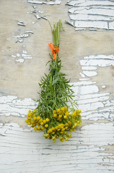 Tanacétum vulgare tansy bouquet d'herbes médicales sur vieux mur en bois — Photo