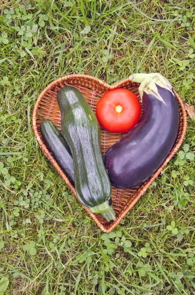 Fresh vegetables in basket on garden grass — Stock Photo, Image