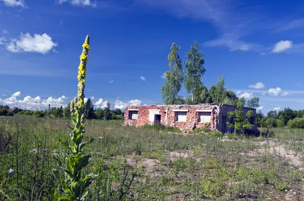 Letní krajina s staré ruiny statku — Stock fotografie