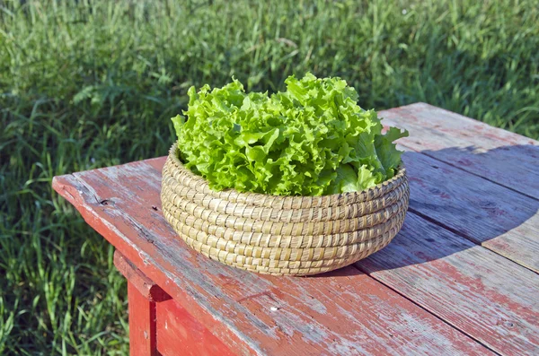 Свежий салат в плетеной корзине на деревянном столе в саду — стоковое фото