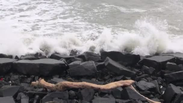 벵골 바다 파도 폰 디 체리 puducherry, 인도에서 검은 해안 돌 — 비디오